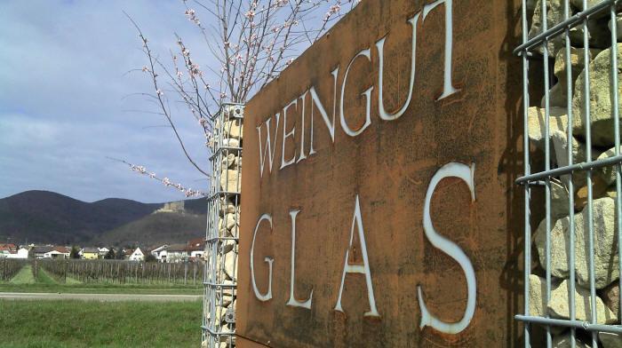 Gaestehaus Weingut Glas Neustadt an der Weinstraße 外观 照片